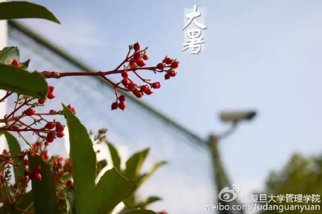 http://mmbiz.qpic.cn/mmbiz/m90KBRKeUQrteKEepver7ne7htZjuBqOLtsWHS5xUrKcx4dVpTBcEtHVV3BjR7SqTmv26Y9ZZbUBdJVTysX8aQ/640?wx_fmt=jpeg&wxfrom=5&wx_lazy=1